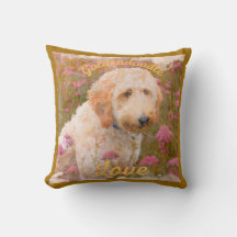 Goldendoodle fun mignon