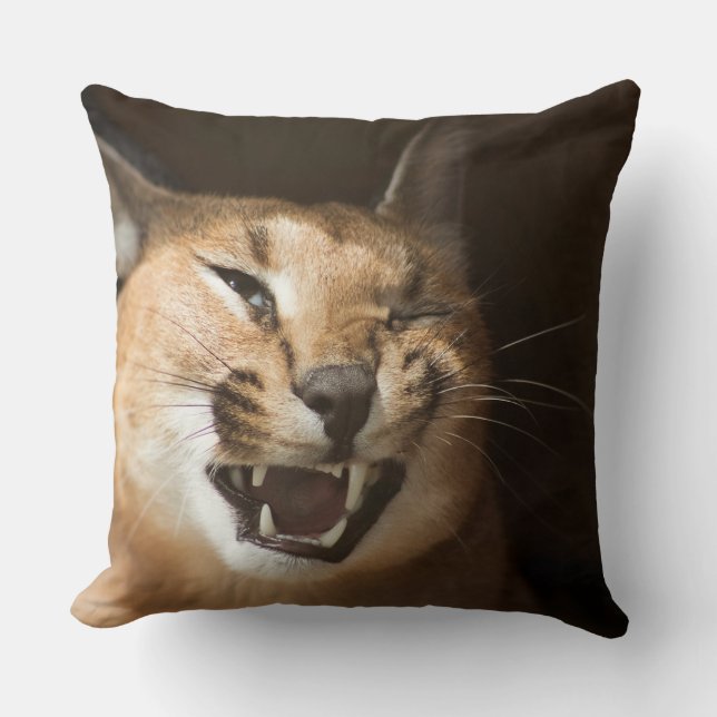 Coussin Goofy Lynx (Recto)