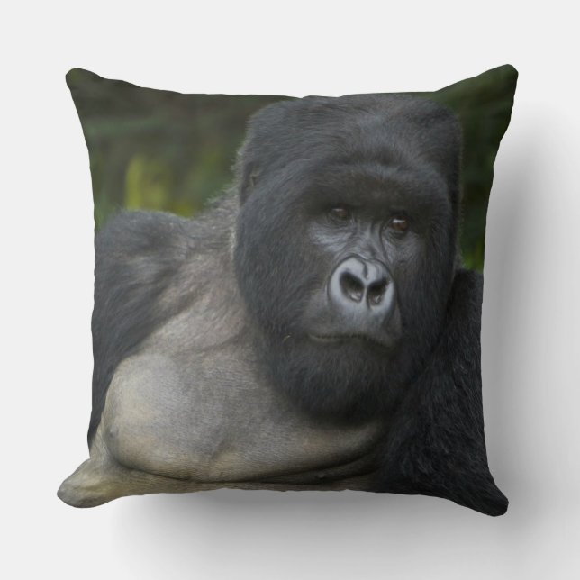 Coussin Gorille des montagnes et dos argenté (Recto)