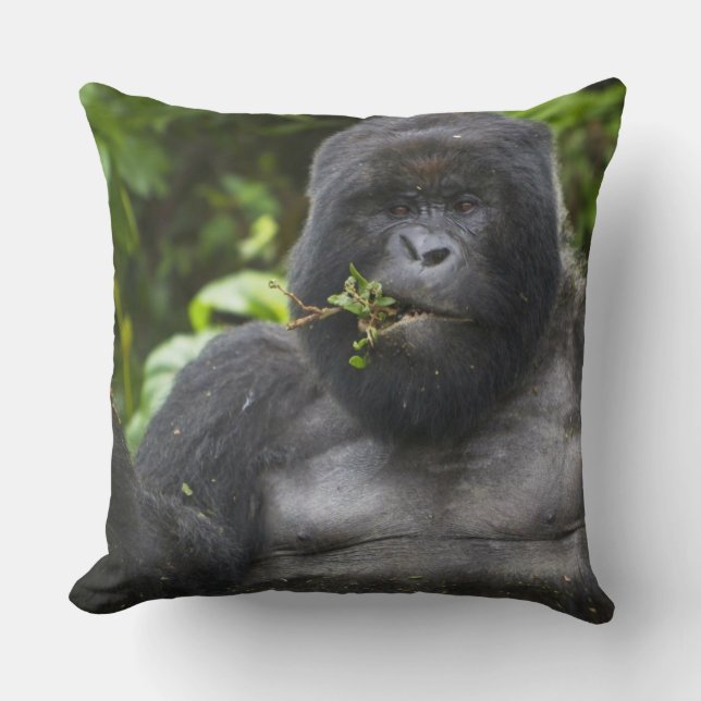 Coussin Gorille des montagnes et dos argenté (Recto)