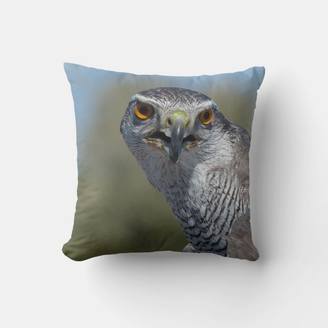 Coussin Goshawk du Nord (Recto)