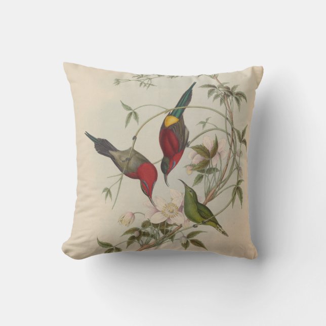 Coussin Goulpourah Sun-Bird par John Gould (Recto)