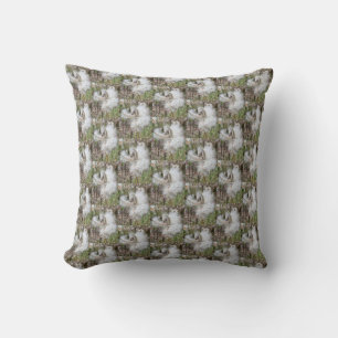 Coussin Gousses de Asclépiade ouvertes   Graines avec soie