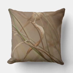 Coussin Gousses de laiteron du désert
