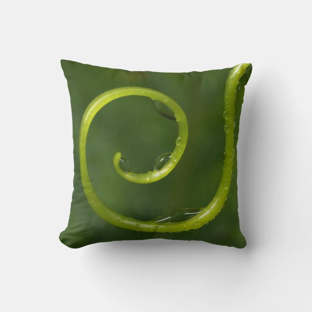 Coussin Gouttes d'eau sur une vigne (Recto)