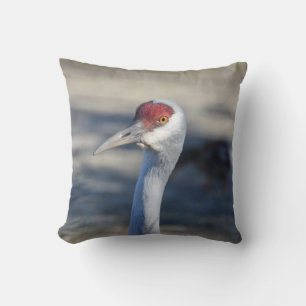Coussin Graine de Sandhill