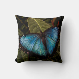 Coussin Grand, beau, papillon bleu