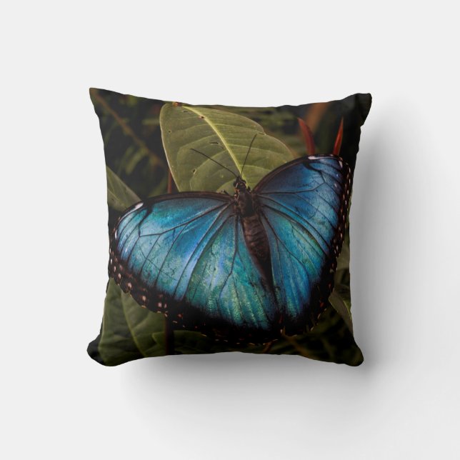 Coussin Grand, beau, papillon bleu (Recto)
