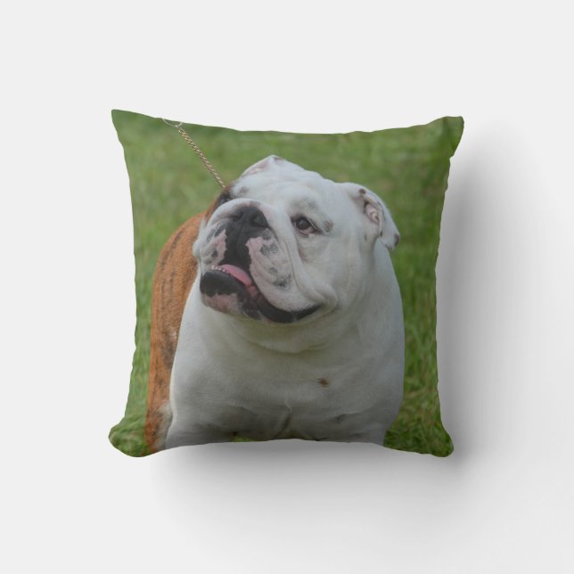 Coussin Grand bouledogue (Recto)