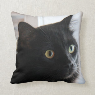 coussin Grand-eyed, maison ou dortoir de chat noir