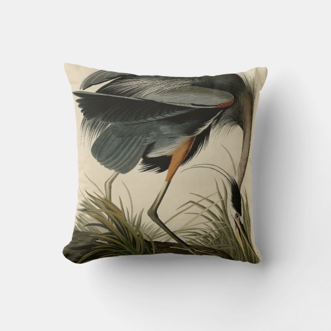 Coussin Grand héron bleu des oiseaux d'Amérique d'Audubon (Recto)