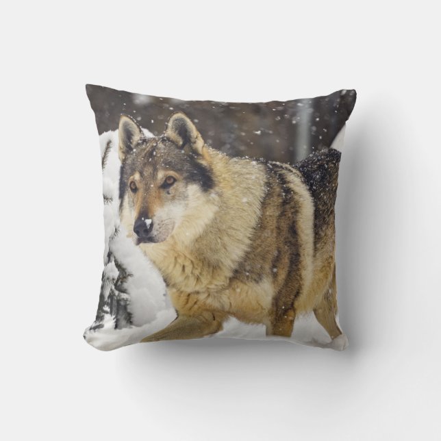 Coussin Grand Loup sauvage gris dans la neige (Recto)