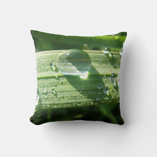 Coussin Grande goutte d'eau (Recto)