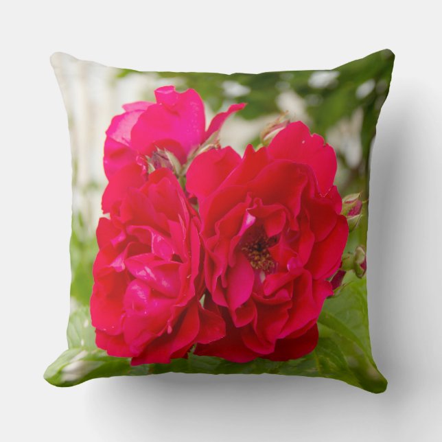 Coussin Grandes roses rouges dans le jardin (Recto)