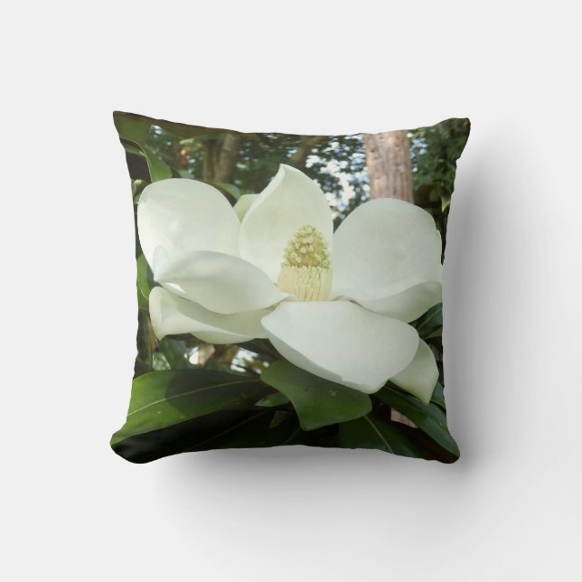 Coussin grandiflora de jet de magnolia (Recto)
