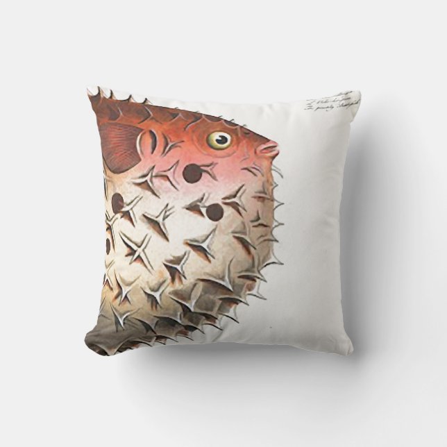 Coussin GRANDS corail/orange SUPERBES de poissons de (Recto)