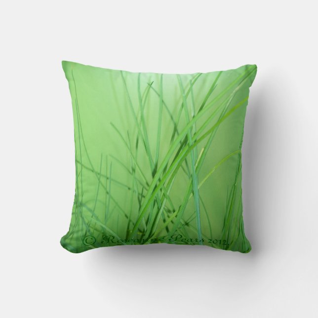 Coussin (GrassOnGreen) RFPMDesigns ©️ 2012 (Recto)