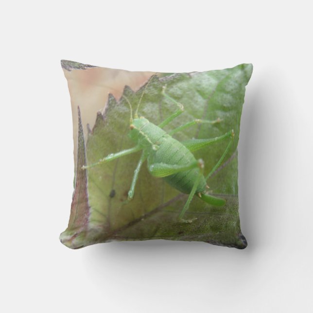 Coussin Green Cricket on a Leaf Pillow (Recto)