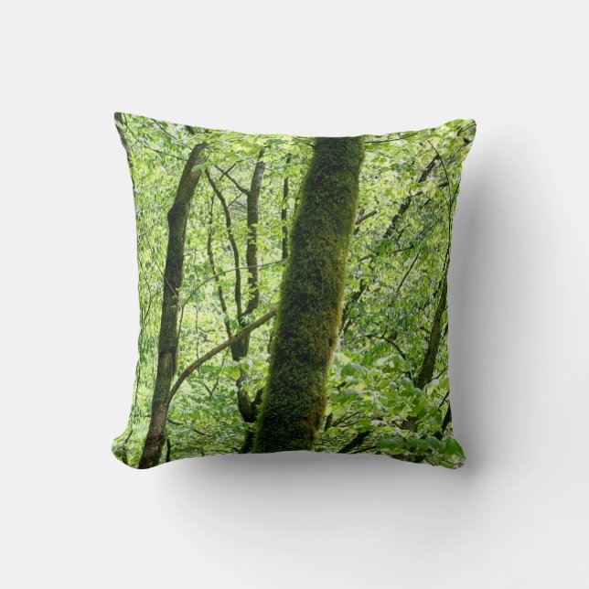 Coussin Green Decduous Forest Trees Photographie de la nat (Recto)