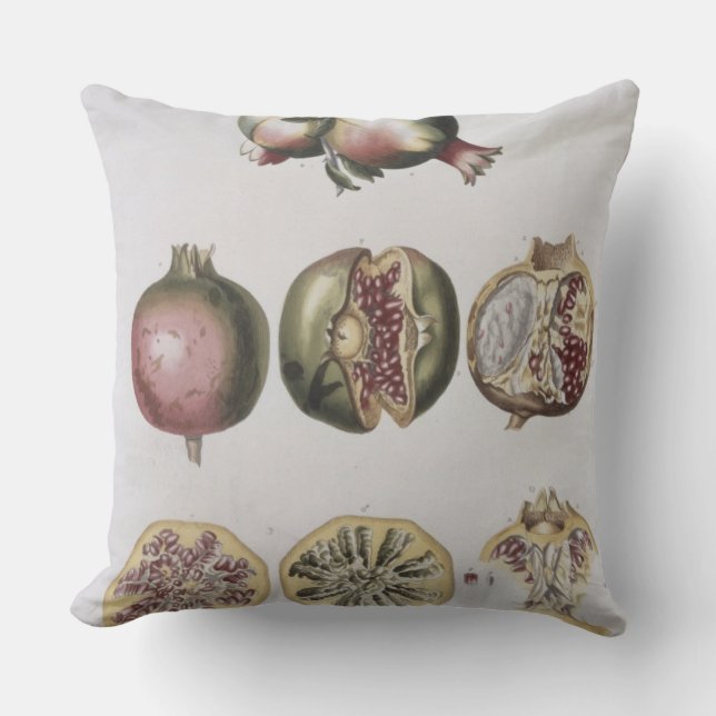 Coussin Grenade, gravée par Johann Jakob Haid (1704-6 (Recto)