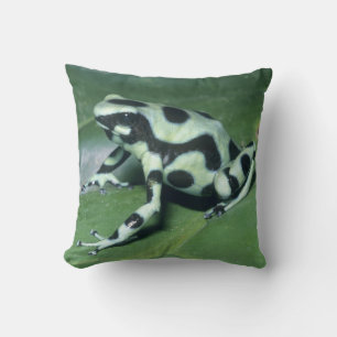 Coussin Grenouille flèche empoisonnée, (Dendrobates auratu