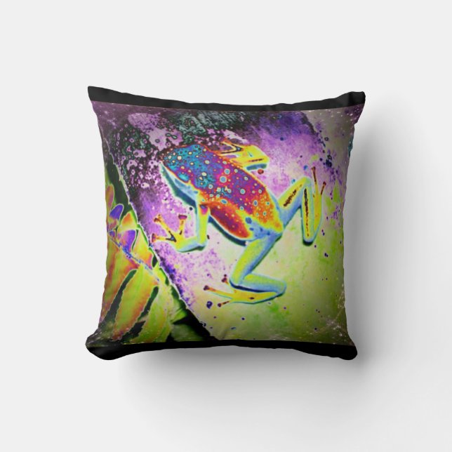 Coussin Grenouille hippie (Recto)