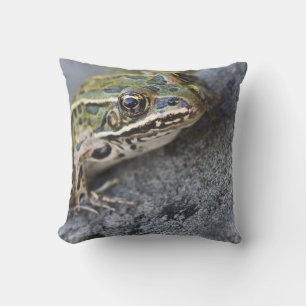 Coussin grenouille léopard du Nord, île de la voie maritim