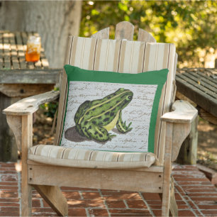 Coussin Grenouille verte