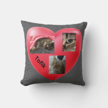 Grey Tabby Chat - Au coeur des souvenirs