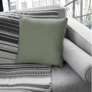 Coussin Grey verdâtre muet