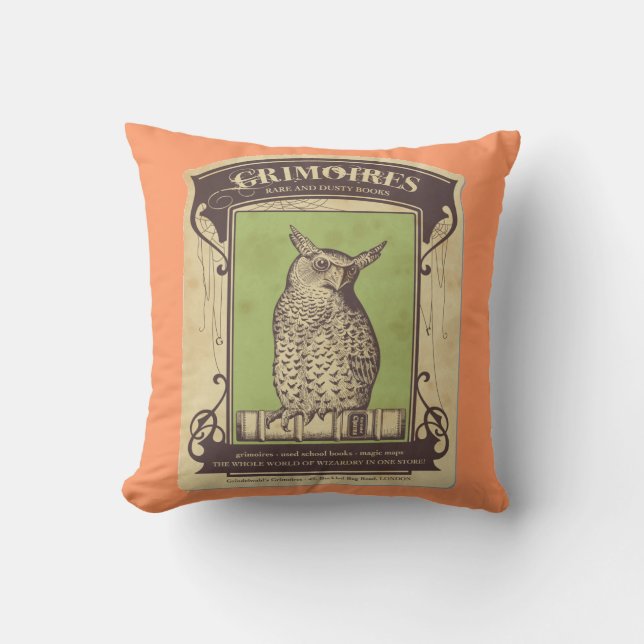 Coussin Grimoires Owl (Recto)