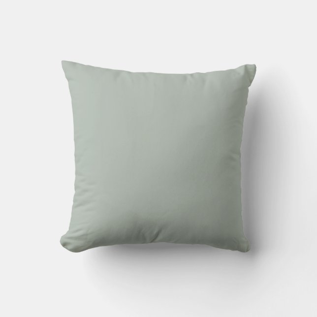 Coussin gris cendré (couleur unie) (Recto)