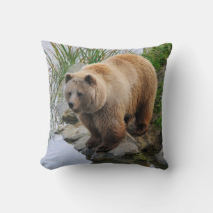Coussin Grizzly Oear Wildlife Animal Photographie