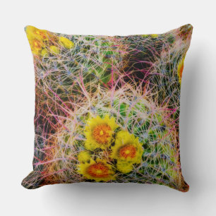 Coussin Gros cactus baril, Californie