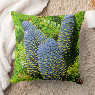 Coussin Gros cônes de sapin bleu coréen