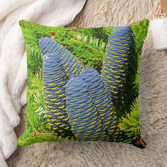 Coussin Gros cônes de sapin bleu coréen (Couverture)