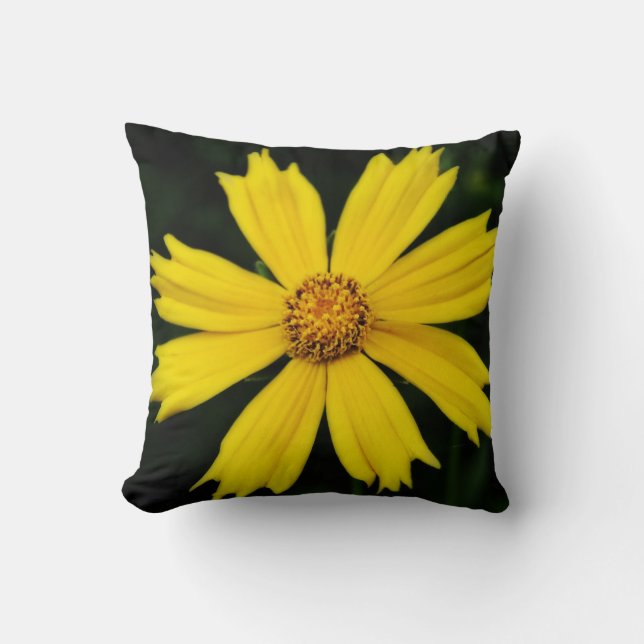 Coussin Gros plan de la fleur de Cosmos jaune (Recto)