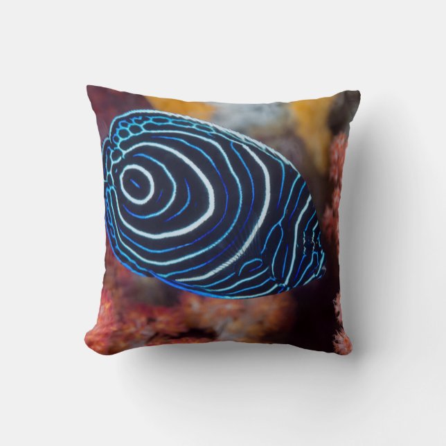 Coussin Gros plan de poisson-ange impérial (Recto)