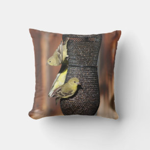 Coussin Gros plan sur des pinsons dorés sur une mangeoire