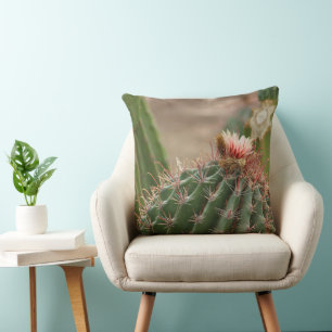 Coussin Gros plan sur une fleur de cactus rose