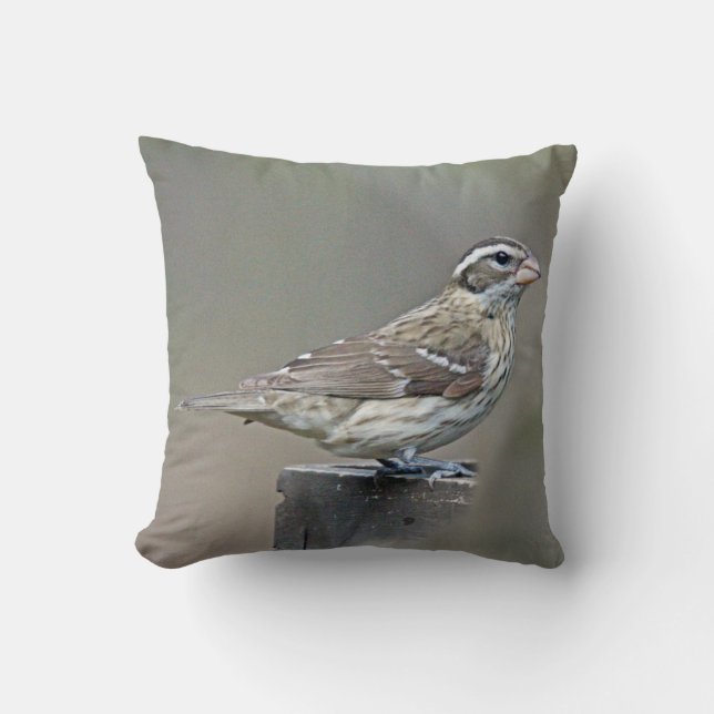 Coussin Grosbeak femelle rose (Recto)