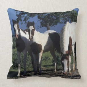 Coussin Groupe de chevaux de peinture