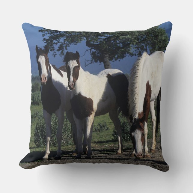 Coussin Groupe de chevaux de peinture (Recto)