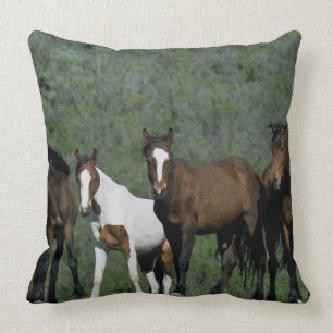 Coussin Groupe de chevaux sauvages de mustang