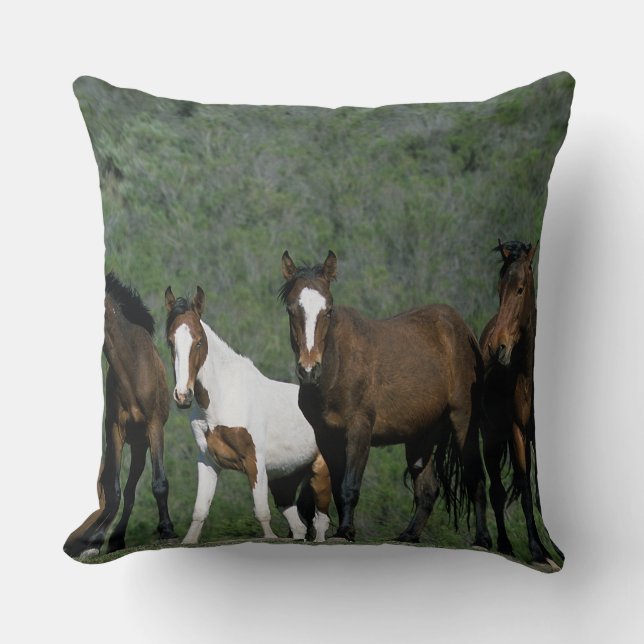 Coussin Groupe de chevaux sauvages de mustang (Recto)