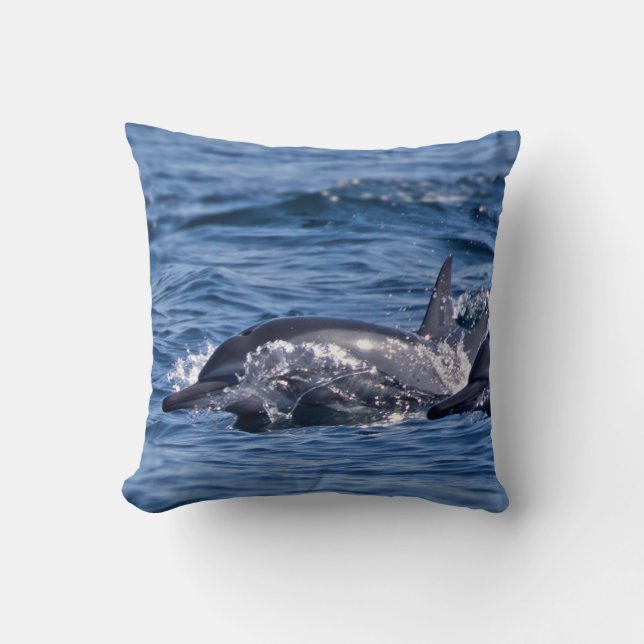 Coussin Groupe de dauphins de goulot (Recto)
