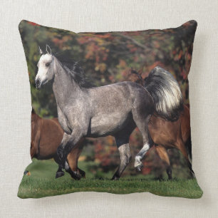 Coussin Groupe de fonctionnement arabe de chevaux