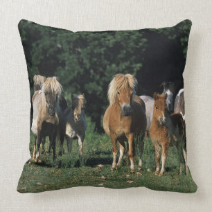 Coussin Groupe de poulains miniatures