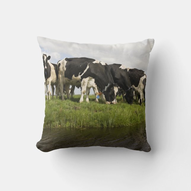 Coussin Groupe de vaches frisonnes (Recto)