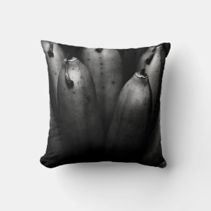 Coussin groupe divertissant